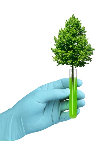 Biotechnology concept, tree growing in test glass tubeの写真素材