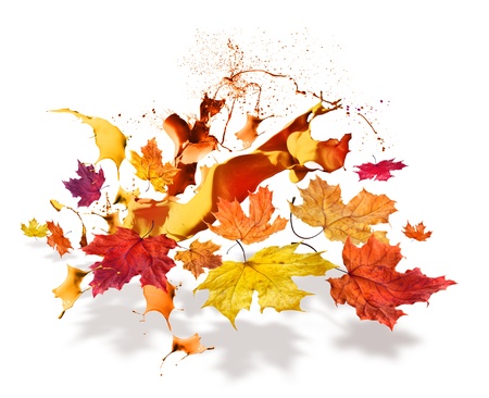 Colorful autumn maple leaves flying with seasonal color burstの写真素材
