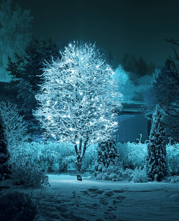 Illuminated tree decoration in snowy Christmas winter gardenの写真素材