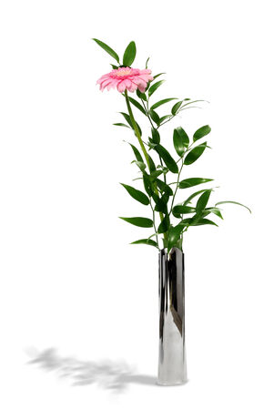 Pink gerbera in modern metal vase, isolated on whiteの写真素材