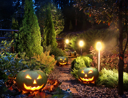 Illuminated Home Garden Path Patio Lights With Pumpkin Garden Path Patio Lights