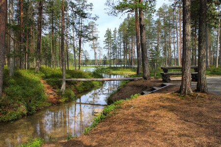 Forest lake and narrow creek in Hossa national park Finlandの写真素材