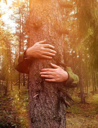 Hands wrapped around a spruce tree hugging, environmental conceptの写真素材