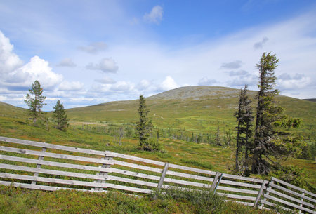 Lapland summer landscape on fell Pallastunturi sceneryの写真素材