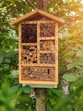 Wooden bug hotel for insects hanging in garden leafy treeの写真素材
