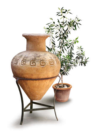 Old Greek amphora terracotta clay pot with olive tree, isolated on white background, drop shadowの写真素材