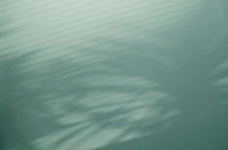 Soft and stylish palm leaves and diagonal Venetian blind shadows on the wall background image