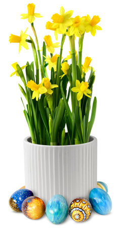 Yellow narcissus flower  in white ceramic pot, decoration with colorful hand painted Easter eggs, isolatedの写真素材