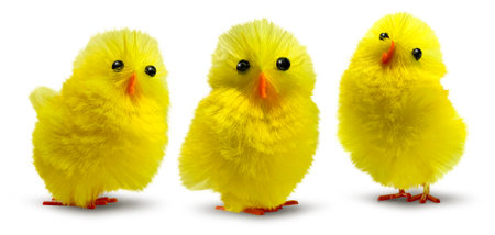 Three cute, funny and flurry yellow Easter decoration chick characters isolated, minimum drop shadowの写真素材