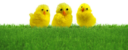 Three cute Easter decoration chicks in natural green spring grass lawn isolated