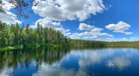 Summer wilderness lake and forest scenery with blue water and sky with white clouds Finlandの写真素材