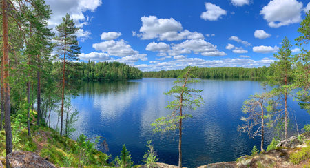 Summer wilderness lake and forest scenery with blue water and sky with white clouds Finlandの写真素材