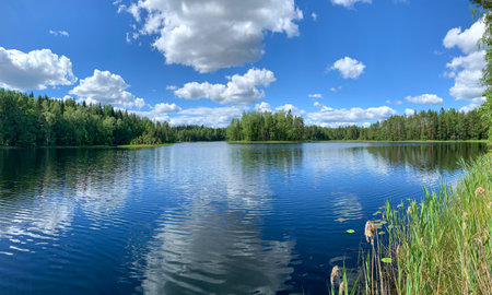Summer forest wilderness lake landscape scenery with blue water and sky with white clouds Finlandの写真素材