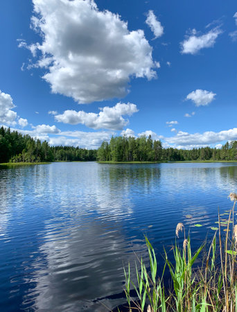 Summer forest wilderness lake landscape scenery with blue water and sky with white clouds Finland verticalの写真素材
