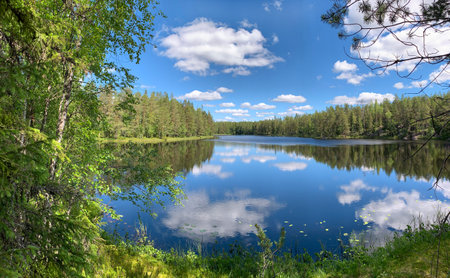 Summer wilderness lake and forest landscape with blue water and sky with white clouds Finlandの写真素材