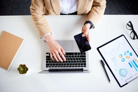 Mid age businesswoman working at the laptop in officeの写真素材