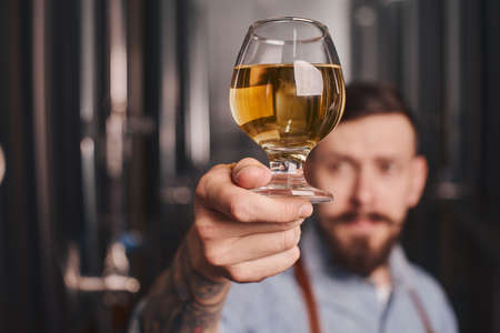 Bartender puts a glass of beer against the light.