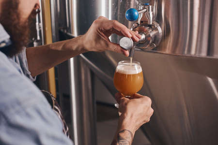 Close up of bartender at work pouring beer from the taps into clear glasses.の写真素材