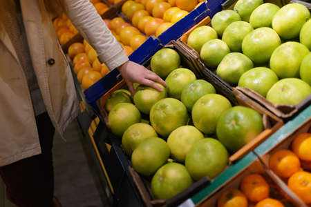 Female hand picks Citrus Sweetie at supermarketの写真素材