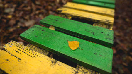 Colorful bench and yellow leaf on it