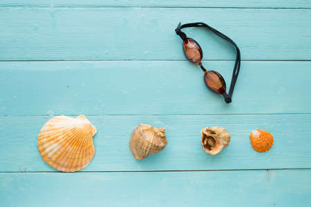 Different marine items on blue wooden background. Seashells, top view.の写真素材