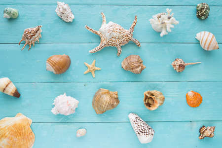 Different marine items on blue wooden background. Seashells, top view.