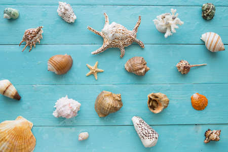 Different marine items on blue wooden background. Seashells, top view.の写真素材