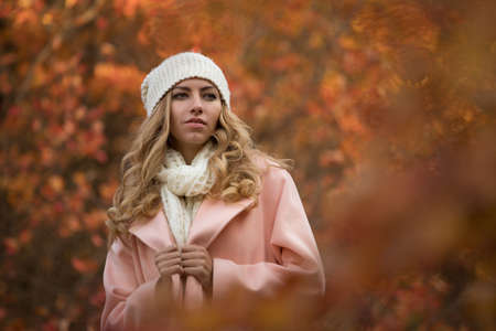 Woman enjoying autumn day, she walking in park, colorful foliage aroundの写真素材