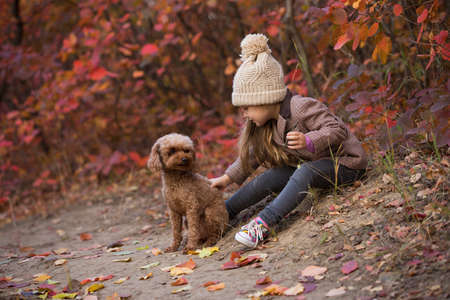 Little girl stroking the dog on nature at the autumn day, friends foreverの写真素材