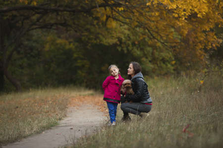 Portrait of mother together with her little daughter and dog in forest footpath, autumn yellow tree on backgroundの写真素材