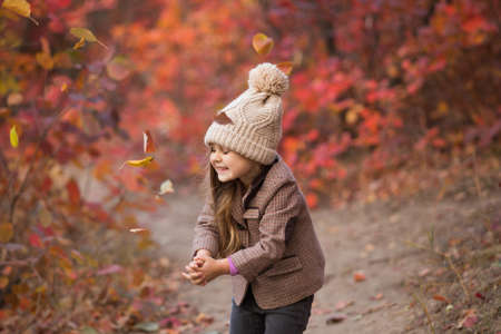 Little girl throw red and yellow leaves at the autumn dayの写真素材