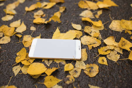 Unharmed lost smartphone on a groundの写真素材