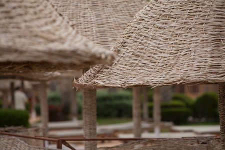 Wooden straw umbrellas on a tropical beach