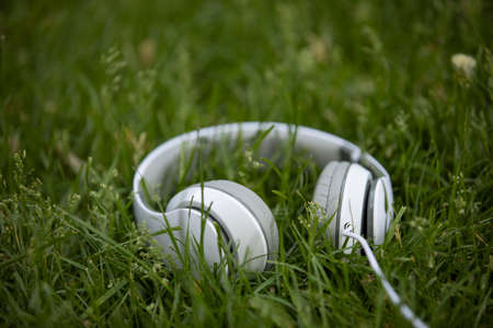 White headphone in the grass, sound conceptの写真素材