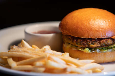 Burger and fast food in the plate, unhealthy food