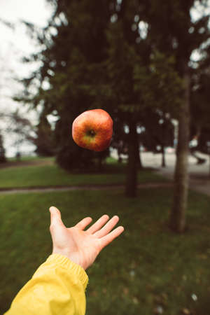 Throwing red apple above the palm