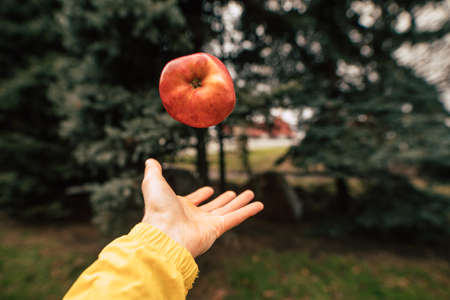 Throwing red apple above the palm