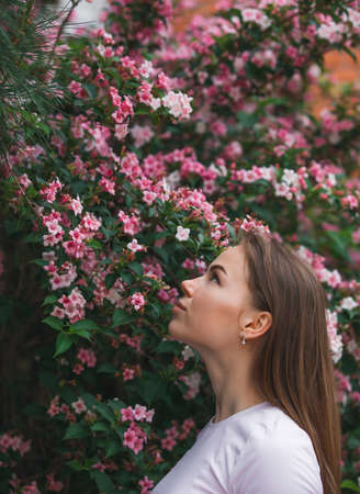Art portrait of woman profile in a pink flowers, spring bloomの写真素材