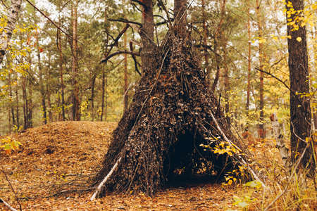 Handmade hut in the forest