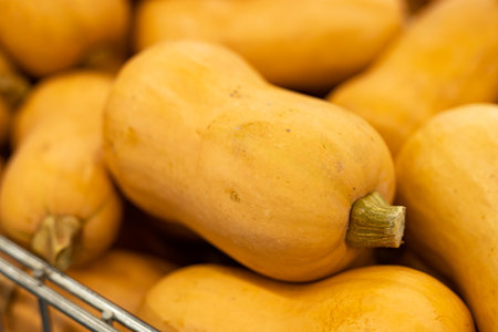 A bunch of pumpkins in the marketの写真素材