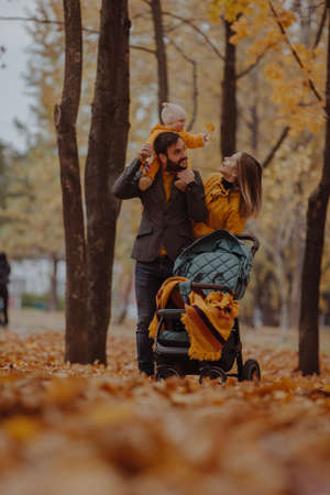 Young family walking with baby carriage at the autumn park with yellow treesの写真素材