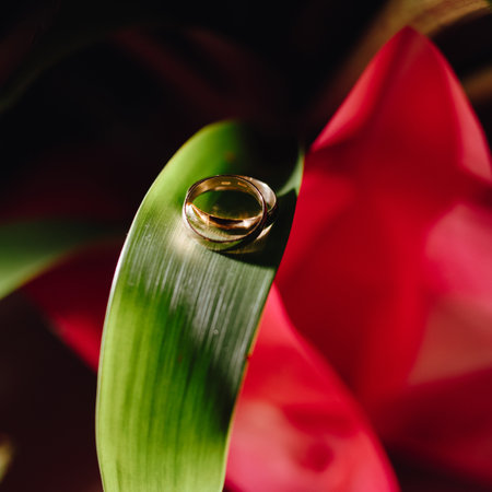 Golden wedding rings on the flower leafの写真素材