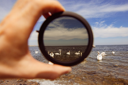 Polarizing filter for the camera in the male hand, view on a seaの写真素材