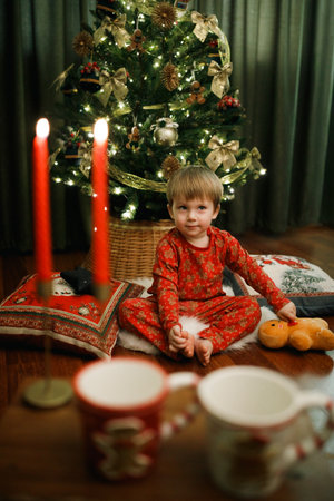 Little boy in red pajama sitting near the Christmas tree at home holding gingerbreadの写真素材