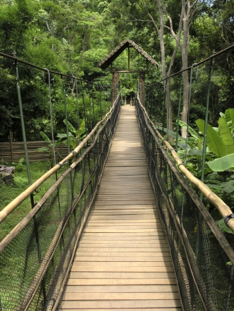 Hanging wooden bridge      の写真素材