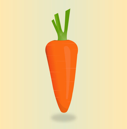 Vector illustration of carrotsのイラスト素材