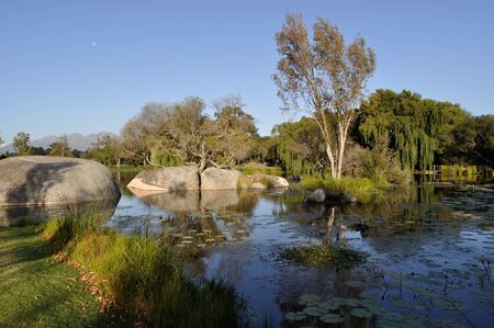 Wine Farm, Stellenbosch, South Africaの写真素材