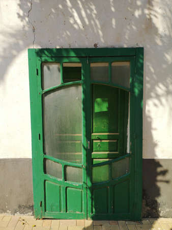 Green wooden door with the shadow of a palm tree on white wallの写真素材