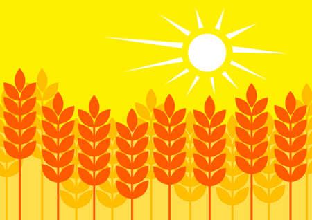 Summer cornfield のイラスト素材