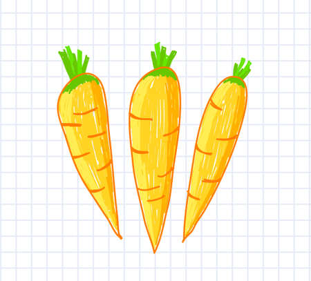 Drawing of carrots     のイラスト素材